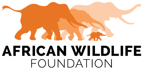 African Wildlife Foundation logo
